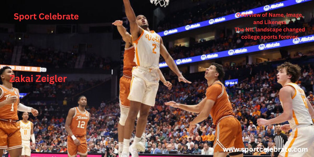 Overview of Name, Image, and Likeness