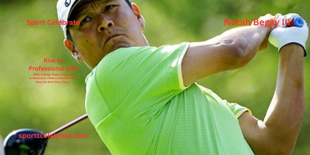 Rise to Professional Golf