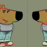 Chill Guy Meme Winning: Origin, Copyright War & Crypto Boom (2025 Reality Breakdown)